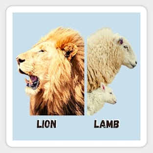 A lion, a lamb and a sheep Magnet